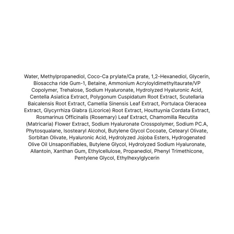 Isntree Hyaluronic Acid Aqua Gel Cream