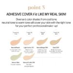 Etude Big Cover Skin Fit Concealer Pro (1)