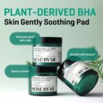 Somebymi AHA BHA PHA 30 Days Miracle Truecica Clear Pad (2)