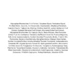 Isntree C-Niacin Toning Cream (1)