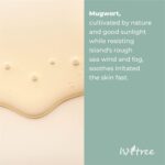 Isntree Mugwort Calming Ampoule (2)