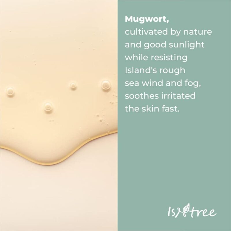 Isntree Mugwort Calming Ampoule (2)