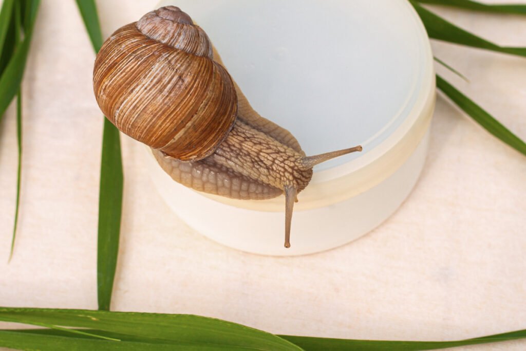 snail mucin