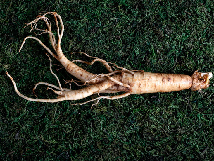 ginseng