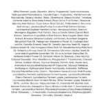 Missha Time Revolution Night Repair Ampoule Cream 5X