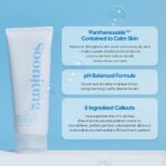 Etude SoonJung PH 5.5 Foam Cleanser (1)