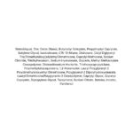 Isntree Hyaluronic Acid Natural Sun Cream lista ingrediente