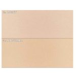 About Tone Blur Powder Pact, 9g-4