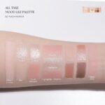 Peripera All Take Mood Like Palette Peritage Collection (1)