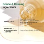 Anua Heartleaf 80 Moisture Soothing Ampoule (1)