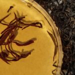 Kaine Kombu Balancing Ampoule Toner (1)