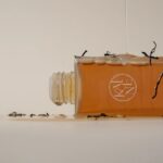 Kaine Kombu Balancing Ampoule Toner (1)