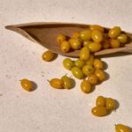 Kaine Vita Drop Serum