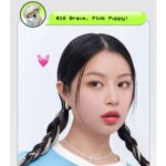 Peripera All Take Mood Palette Maltese Special Edition