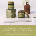 I'm from Mugwort Mask (7)