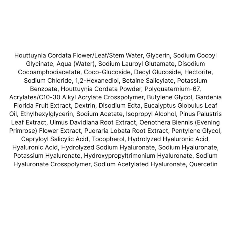 Anua Heartleaf Quercetinol Pore Deep Cleansing Foam (1)