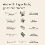 Mary and May Vegan Blackberry Complex Cream Essence (1)