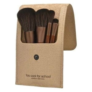 Too Cool For School Artist Vegan Brush Kit