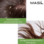 Masil 5 Probiotics Apple Vinegar Shampo (4)