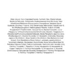 Round Lab Birch Juice Moisturizing Sun Stick lista ingrediente