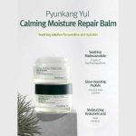 Pyunkang Yul Calming Moisture Repair Balm 30ml2