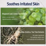 Pyunkang Yul Highly Moisturizing Essence Mask Pack (1)