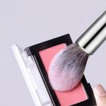 fillimilli Bullet Blusher Brush 881