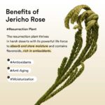 Abib Collagen Eye Patch Jericho Rose Jelly (4)