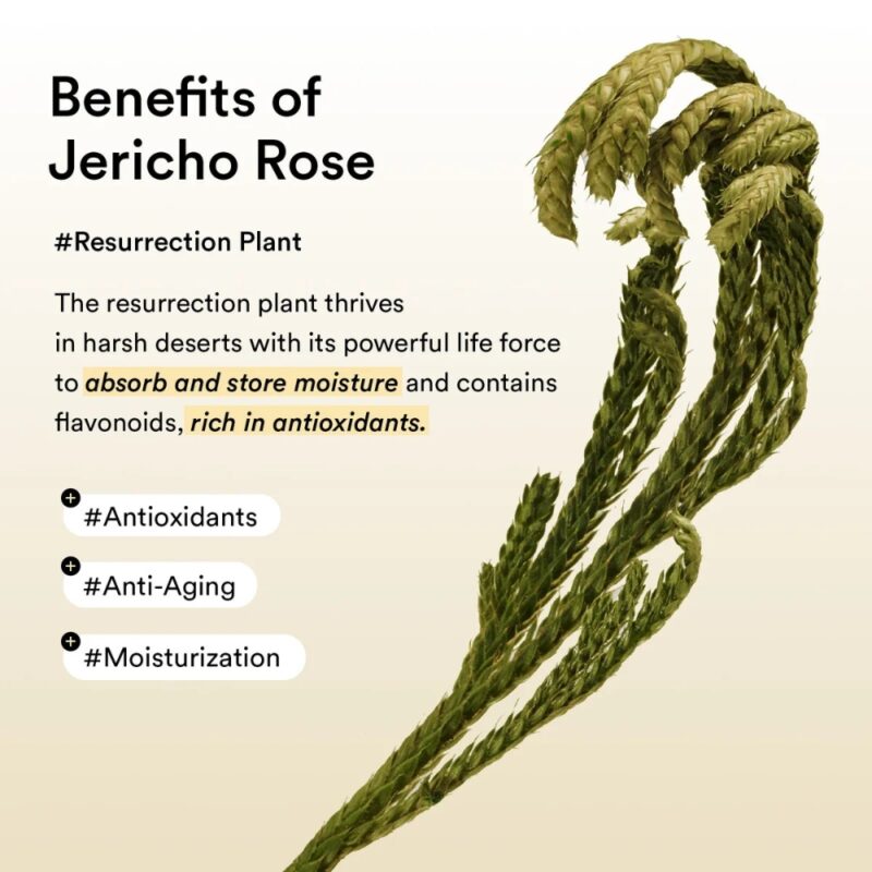 Abib Collagen Eye Patch Jericho Rose Jelly (4)