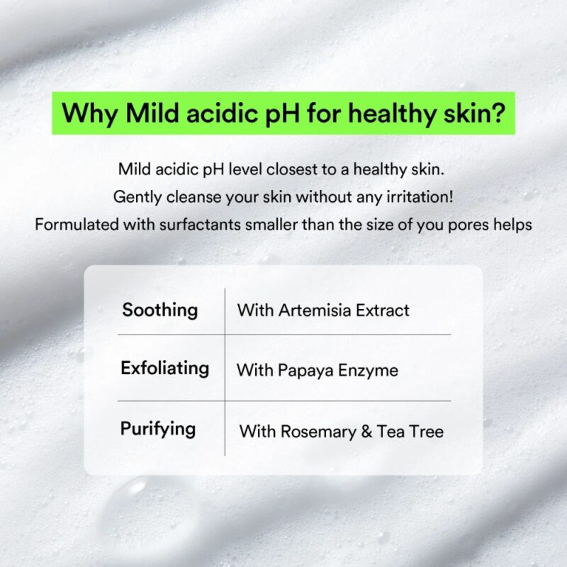 Abib Acne Foam Cleanser Heartleaf Foam (4)