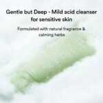 Abib Acne Foam Cleanser Heartleaf Foam (7)