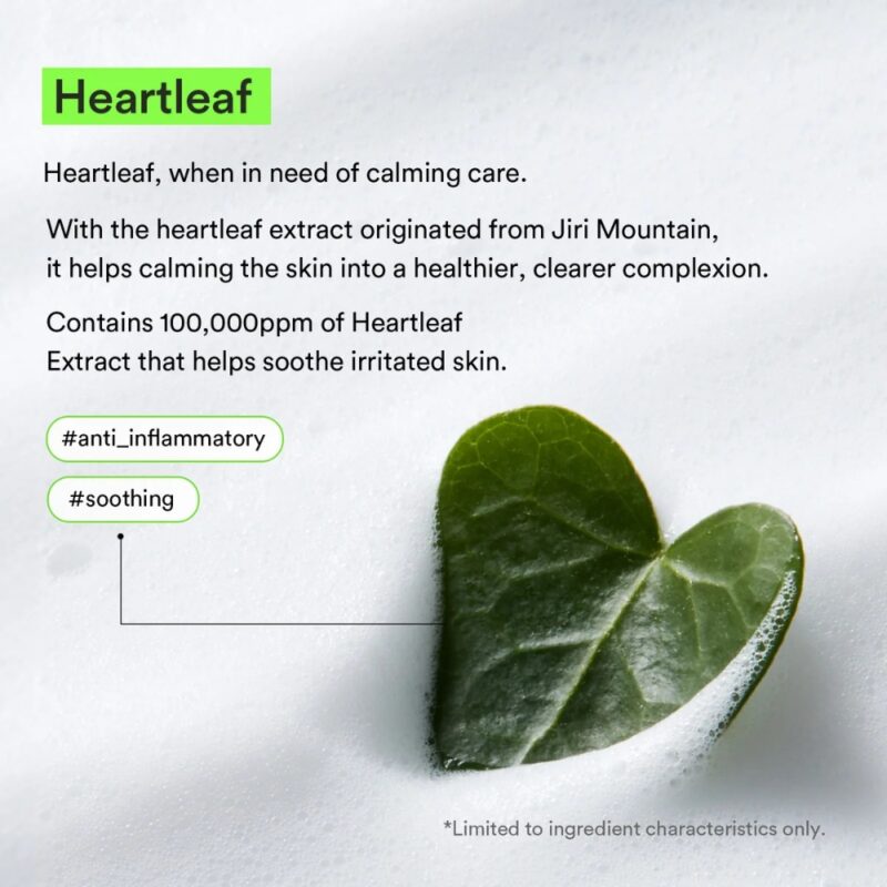 Abib Acne Foam Cleanser Heartleaf Foam (8)