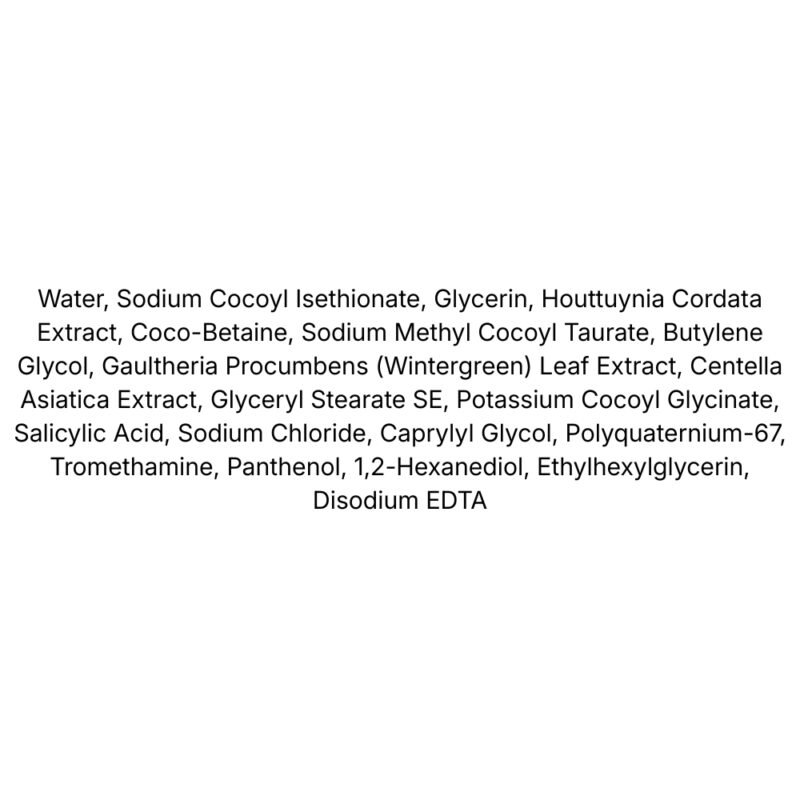 Abib Acne Foam Cleanser Heartleaf Foam lista ingrediente