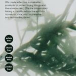 Aromatica Tea Tree Purifying Tonic (1)