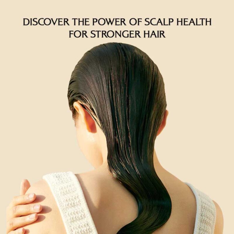 Lador Dermatical Hair-Loss Shampoo For Normal To Dry Hair