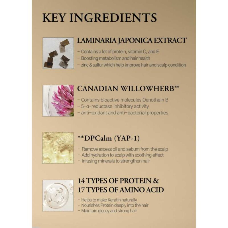 LaFerme Laminaria Shampoo White Musk, 1000ml - 4