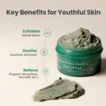 AXIS-Y Mugwort Pore Clarifying Wash Off Pack