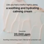 B: Lab Apple Cera Overnight Calming Cream