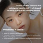 B: Lab Ji-chi Hydro Boost Layer Serum