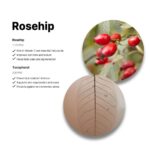 B: Lab Rosehip Please Youthful Serum
