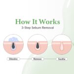 Dr. Althea Premium Quick Step Sebum Cleanser