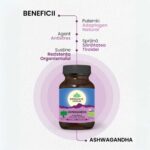 Organic India Ashwagandha Antistres Natural, 60 capsule - 2