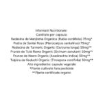 Organic India Beautiful Skin Ten Radiant, 60 capsule - 4