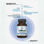 Organic India Immunity Stimuleaza Imunitatea, 60 capsule - 2