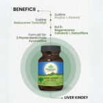 Organic India Liver Kidney Regenerare Ficat si Rinichi, 60 capsule - 2