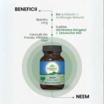 Organic India Neem, 60 capsule - 2