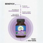 Organic India Tulsi Minte Calma si Ingrijire Sistem Respirator, 60 capsule - 2