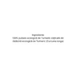 Organic India Turmeric Pulbere, 100g - 3
