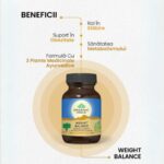 Organic India WT Balance Metabolism Sanatos, 60 capsule - 2