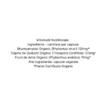 Organic India WT Balance Metabolism Sanatos, 60 capsule - 4